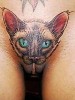 Hardlive30: Katze auf Tattoo-Bewertung.de