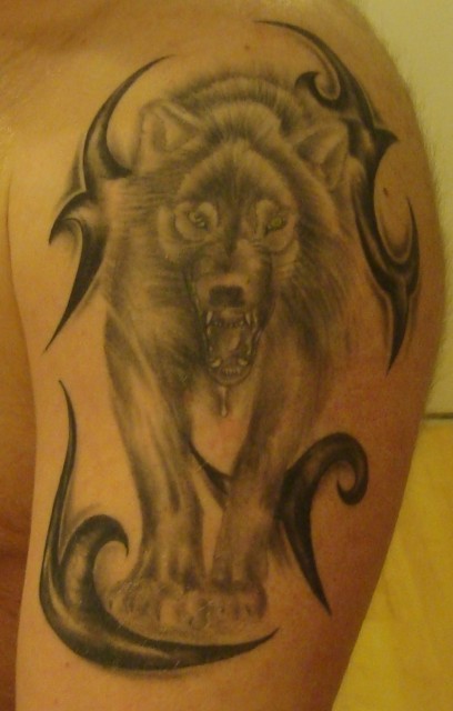 Wolf