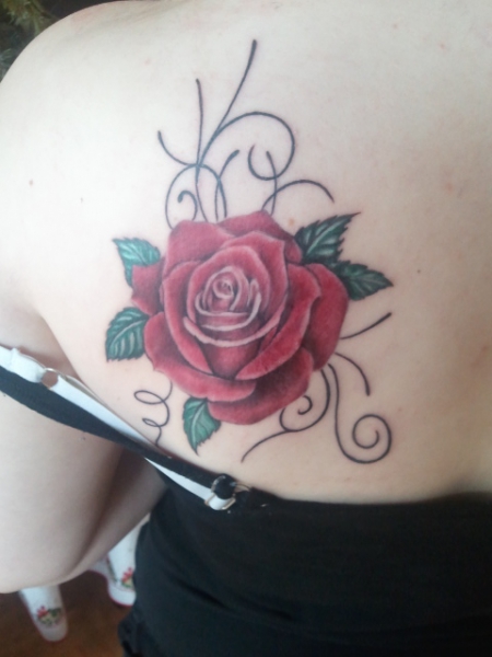 Meine Rose :-)