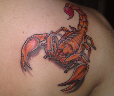 Scorpion farbig