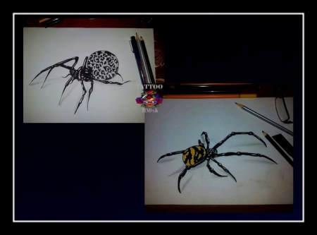 Spider Tattoo Drawing