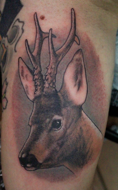 Single Needle Deer