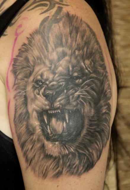 lion