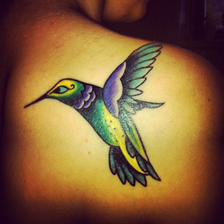 Hummingbird Heartbeat