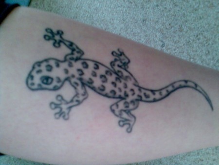 Gecko