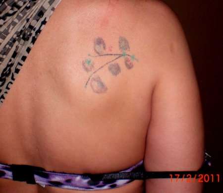 Hibiskus ( Cover-Up ) Bild 1