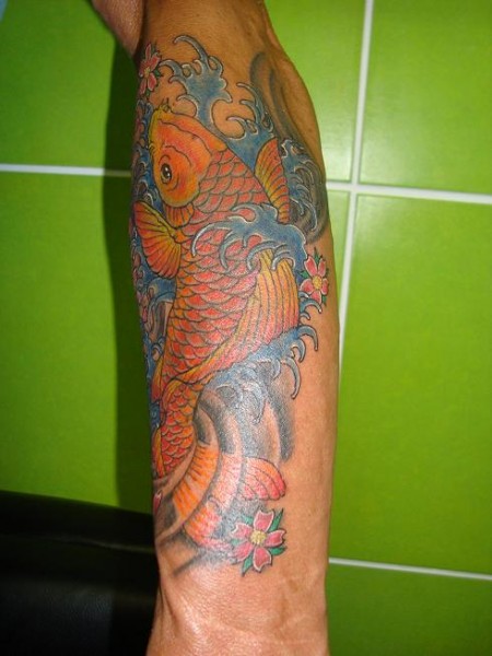 Cover up Koi