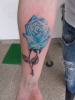 Blaue Rose