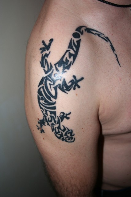 Gecko Maori