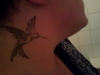 Mein erstes Tattoo. Kolibri