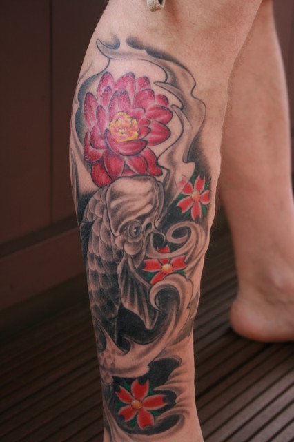 Koi mit Lotus