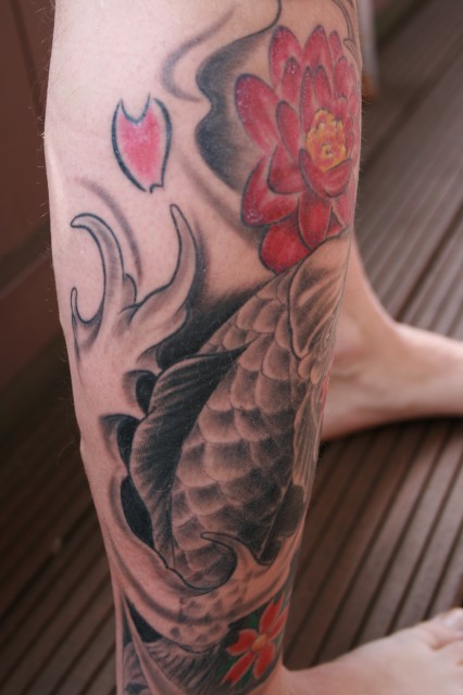 Koi mit Lotus