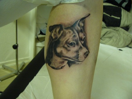 Tom Schmerzmalerei Portrait Hund Name Stulle Tattoos Von Tattoo Bewertung De