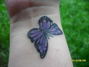 butterfly