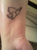 Mein erstes Tattoo.. Picasso Friedenstaube