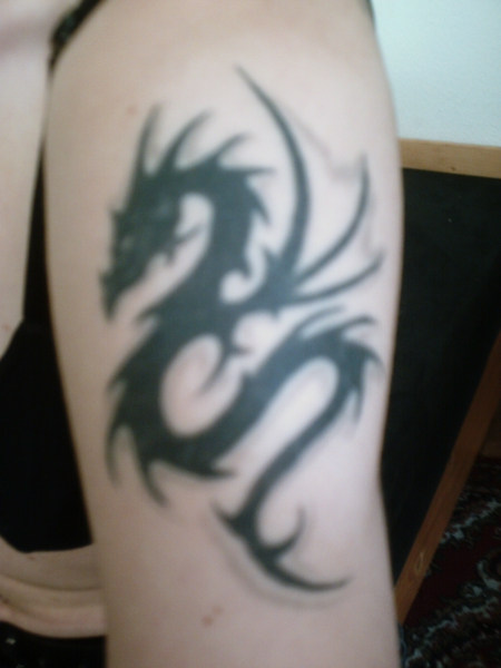 drache