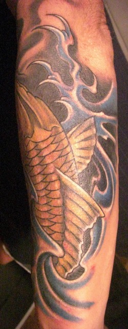 Koi (Coverup) 2