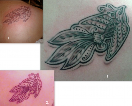 Paradiesvogel Cover-Up