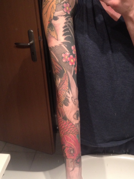 Koi sleeve