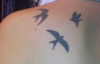 3 Schatten von 3 Schwalben erstes Tattoo 