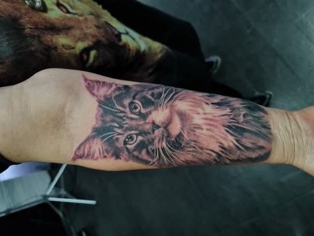 flintstone meine maine coon katze knödel  Tattoos von TattooBewertungde