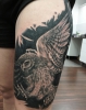 Owl Eule