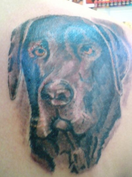 Altes tattoo ( schlecht gestochener Hund )würde gecovert siehe 2 Bild 