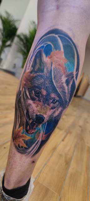 Wolf mit etwas COLOR