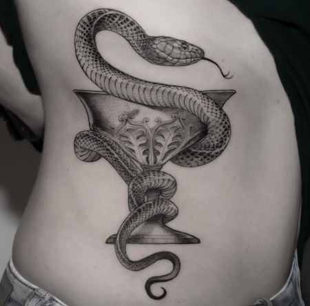 Asclepius Snake