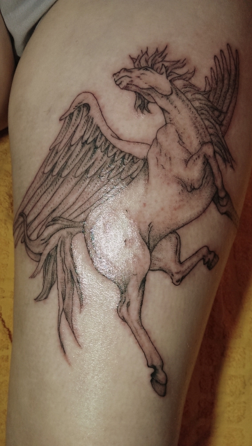 pegasus