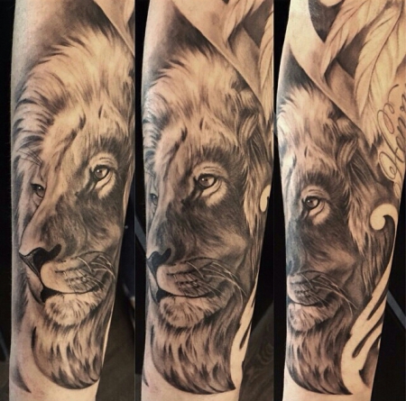 Lion