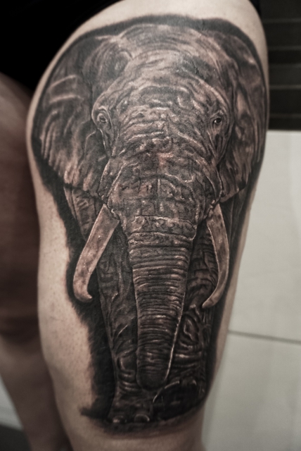 Elefant