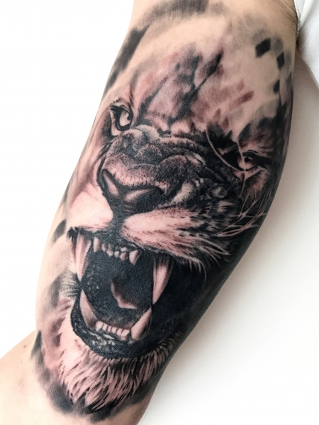 Realistic Löwe Tattoo