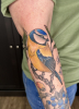 Neotraditional Blaumeise Tattoo