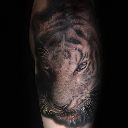 realistic Tiger