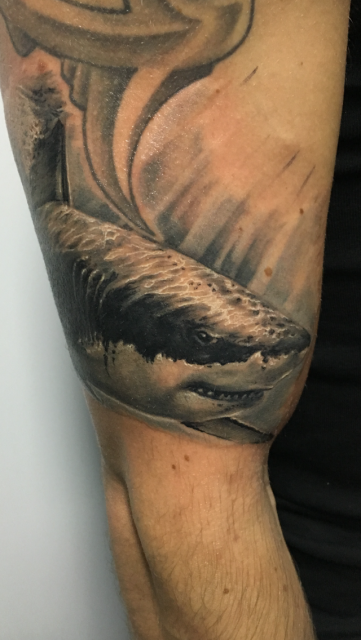 Valerij Unterwasser Shark Tattoos Von Tattoo Bewertung De