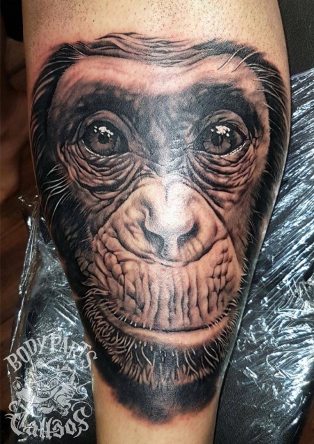 Schimpansen Portrait auf dem Schienbein