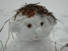 Schneetiger75's Bild