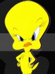 Tweety1's Bild