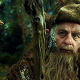 Radagast's Bild