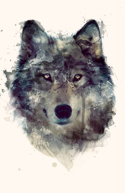 LauraCaro: Wolf (aquarell) umsetzbar?