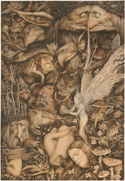 KittyKhaos: Brian Froud Sleeve